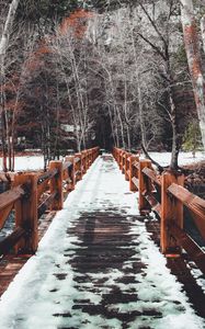 Превью обои мост, снег, зима, деревья, весна