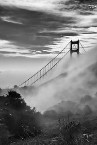 Превью обои мост, туман, кусты, облака, природа, черно-белый