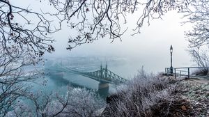Превью обои мост, туман, вид сверху, ветки, иней, снег, зима, будапешт, венгрия