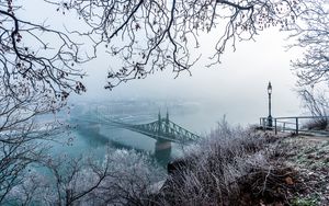Превью обои мост, туман, вид сверху, ветки, иней, снег, зима, будапешт, венгрия