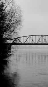 Превью обои мост, ветки, чб, вода