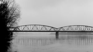 Превью обои мост, ветки, чб, вода