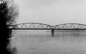 Превью обои мост, ветки, чб, вода