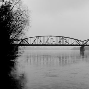 Превью обои мост, ветки, чб, вода