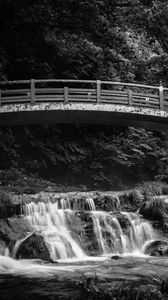 Превью обои мост, водопад, черно-белый, деревья