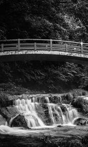 Превью обои мост, водопад, черно-белый, деревья