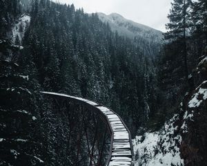 Превью обои мост, железная дорога, снег, деревья, горы, заснеженный