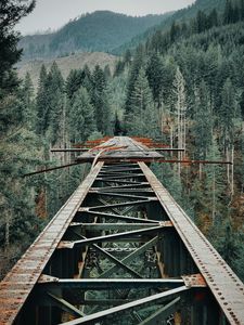 Превью обои мост, железный, горы, лес, деревья