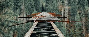 Превью обои мост, железный, горы, лес, деревья
