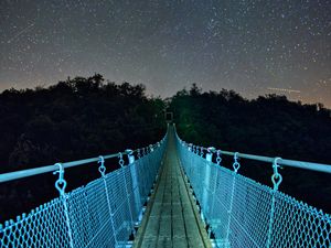 Превью обои мост, звездное небо, звезды, деревья, ночь