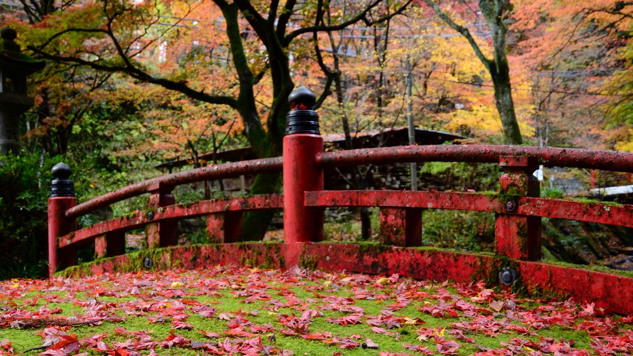 Обои мостик, листья, клен, осень