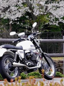 Превью обои moto guzzi v7, moto guzzi, мотоцикл, байк, белый