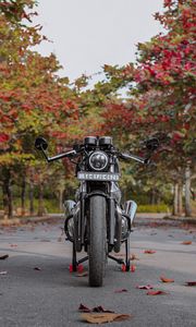 Превью обои мотоцикл, байк, черный, вид спереди, асфальт, листья