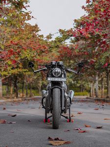 Превью обои мотоцикл, байк, черный, вид спереди, асфальт, листья