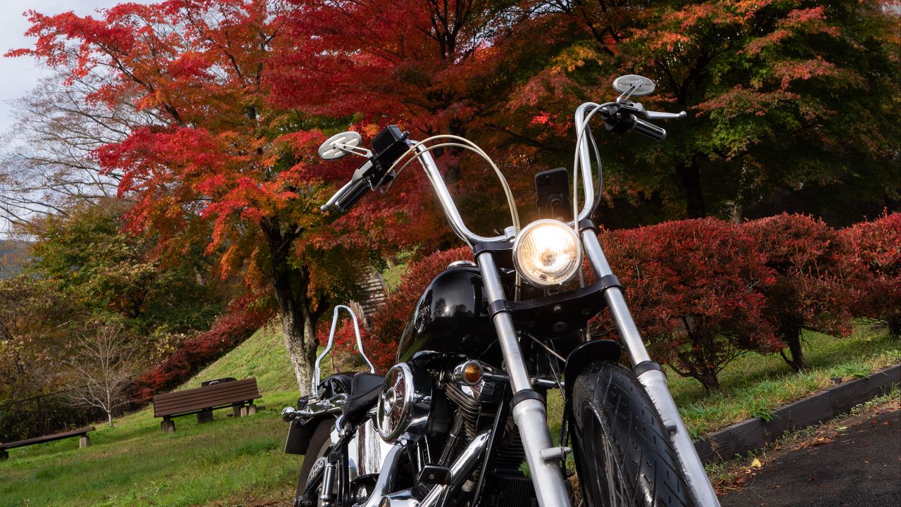 Обои мотоцикл, байк, черный, деревья, осень, мото