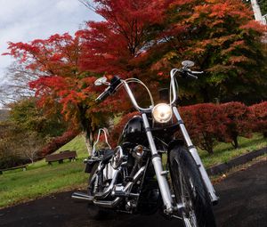 Превью обои мотоцикл, байк, черный, деревья, осень, мото