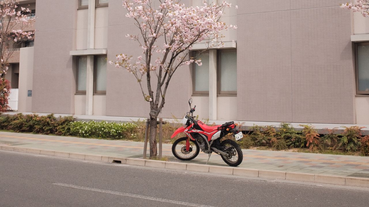 Обои мотоцикл, байк, красный, улица