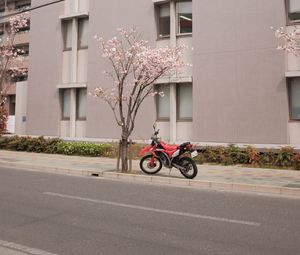 Превью обои мотоцикл, байк, красный, улица