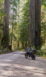 Превью обои мотоцикл, байк, лес, дорога, деревья
