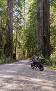 Превью обои мотоцикл, байк, лес, дорога, деревья