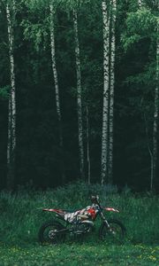 Превью обои мотоцикл, байк, лес, деревья