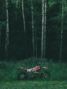 Превью обои мотоцикл, байк, лес, деревья