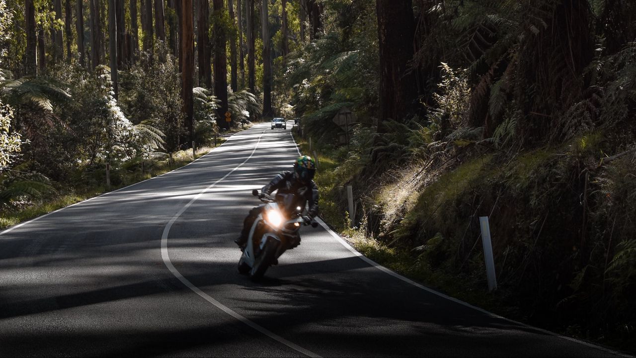 Обои мотоцикл, мотоциклист, скорость, дорога, лес
