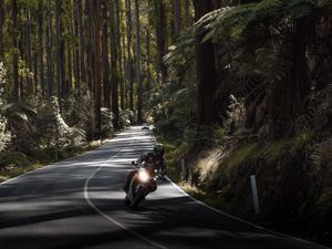 Превью обои мотоцикл, мотоциклист, скорость, дорога, лес