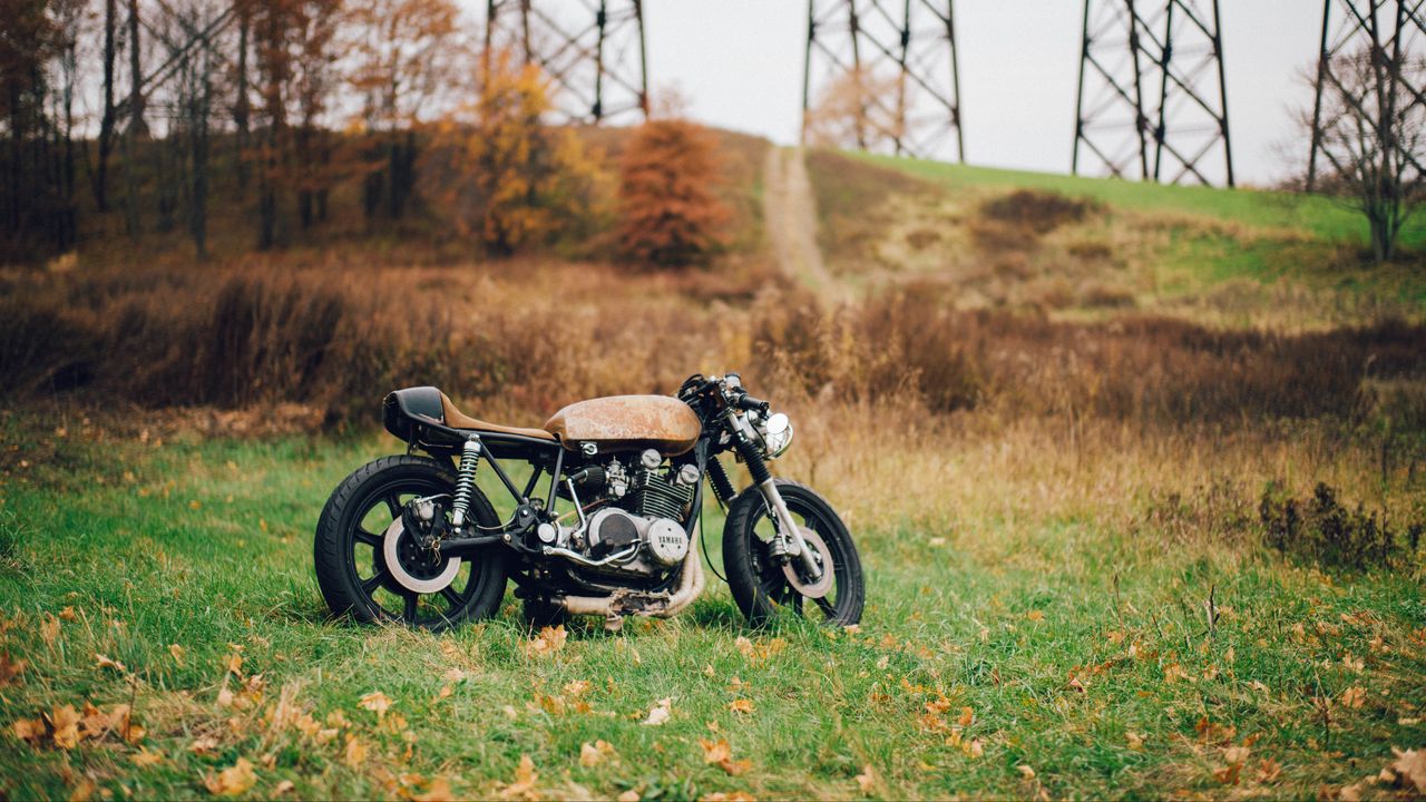 Обои мотоцикл, трава, листья, сухой