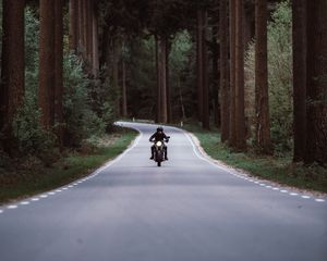 Превью обои мотоциклист, мотоцикл, дорога, лес, движение, поворот