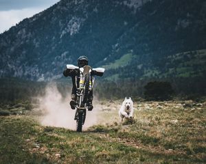 Превью обои мотоциклист, собака, гонки, трава