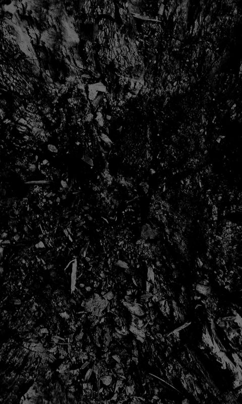 480x800 Обои мрак, чёрно-белое, абстракция, чёрный фон