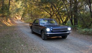 Превью обои mustang, автомобиль, маскар, черный, деревья