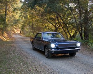 Превью обои mustang, автомобиль, маскар, черный, деревья