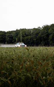 Превью обои mustang, автомобиль, ретро, винтаж, трава, деревья