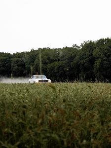Превью обои mustang, автомобиль, ретро, винтаж, трава, деревья