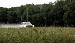 Превью обои mustang, автомобиль, ретро, винтаж, трава, деревья