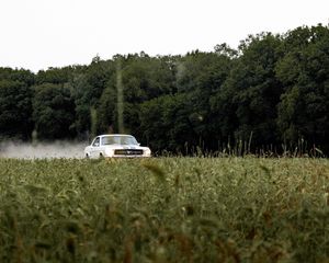 Превью обои mustang, автомобиль, ретро, винтаж, трава, деревья