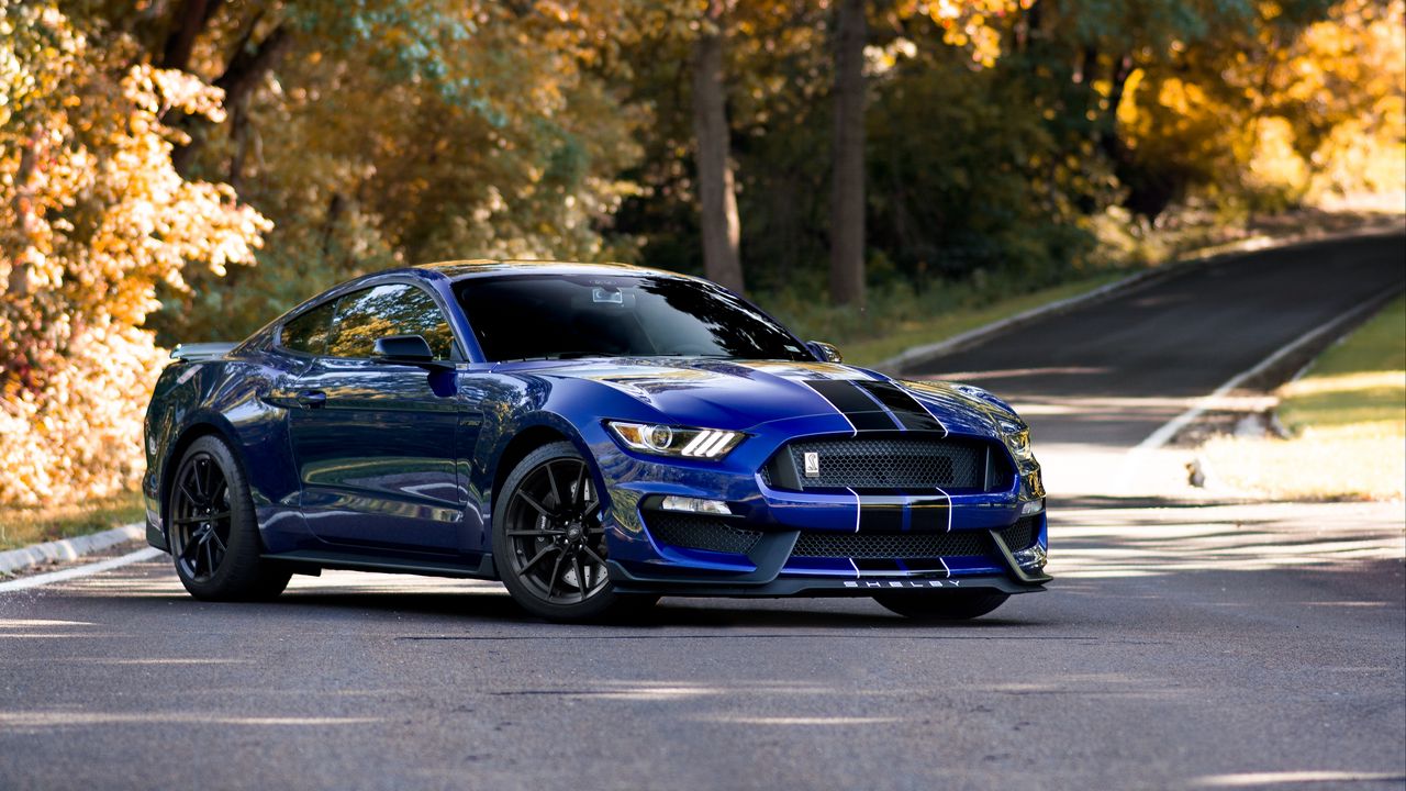 Обои mustang shelby, mustang, автомобиль, маслкар, синий, дорога