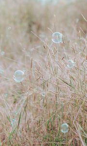 Превью обои мыльные пузыри, блики, трава, поле, макро