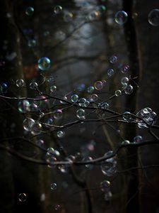 Превью обои мыльные пузыри, пузыри, ветки, деревья