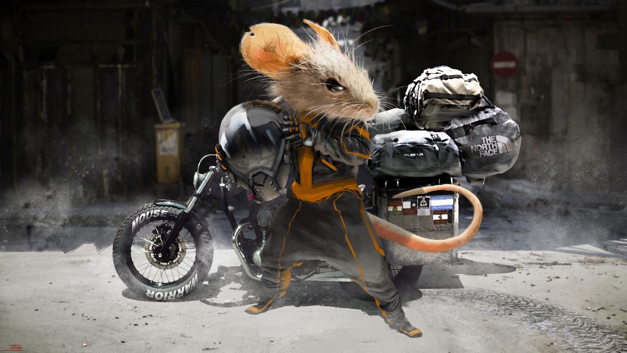 Обои мышь, мотоциклист, мотоцикл, шлем