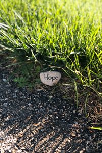 Превью обои надежда, надпись, трава, камень