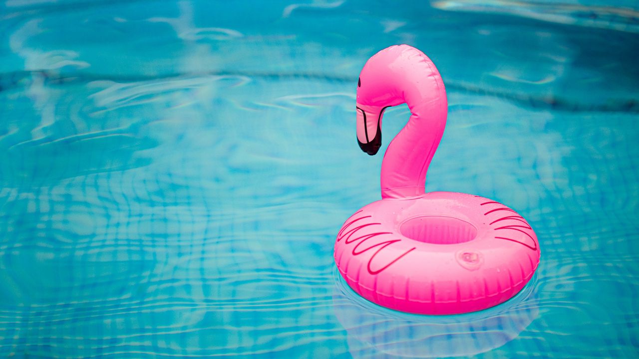 Обои надувной круг, фламинго, бассейн, вода, волны