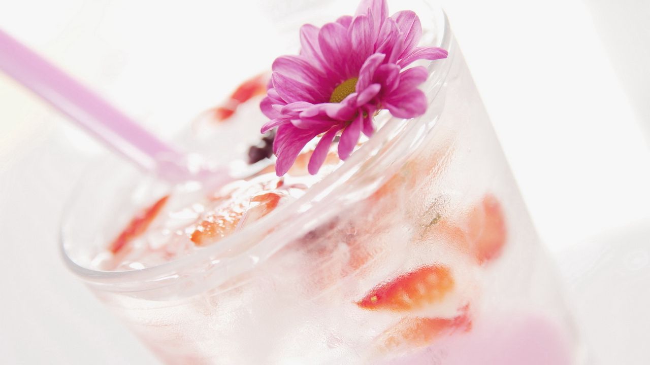 Обои напиток, коктейль, лед, цветок, украшение
