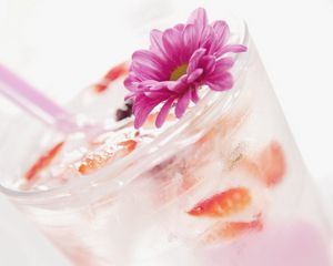 Превью обои напиток, коктейль, лед, цветок, украшение