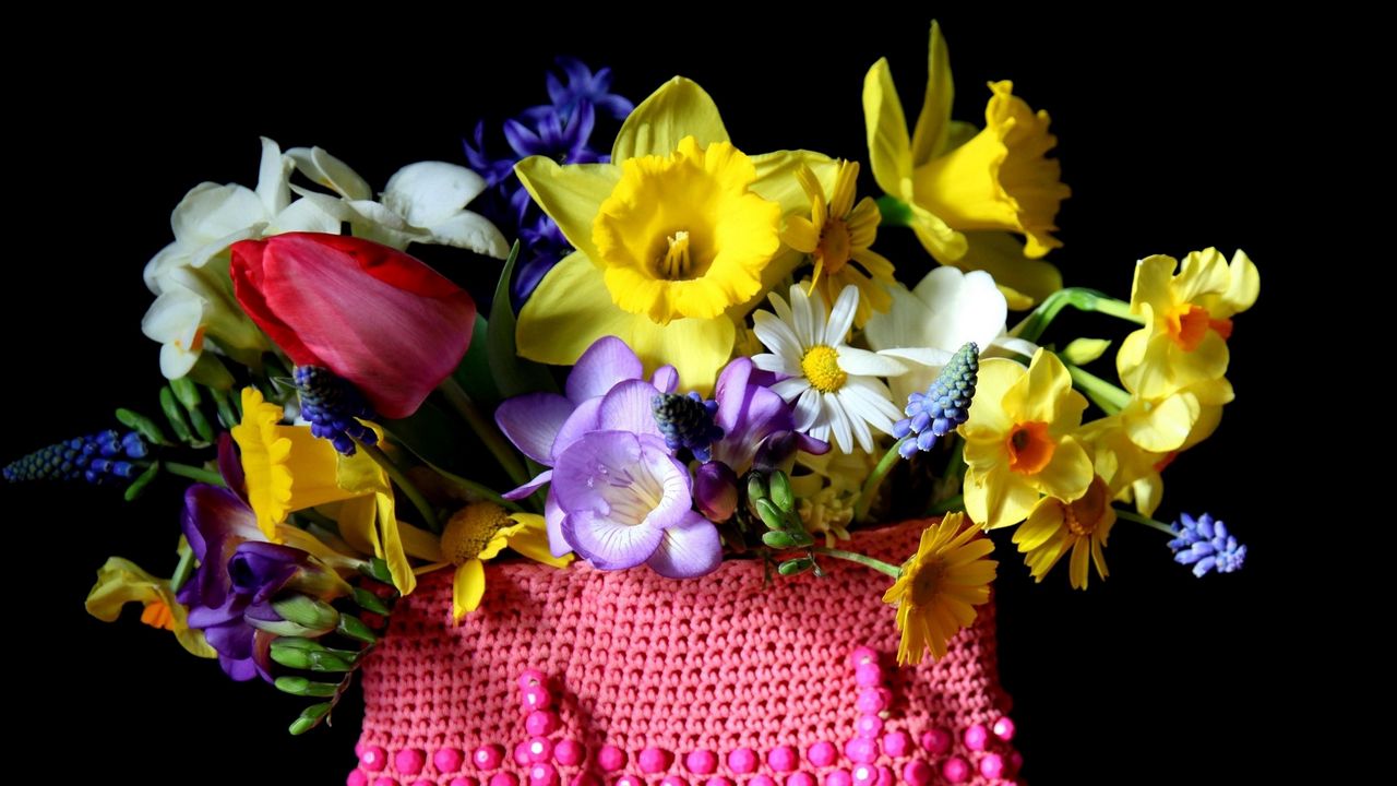 Обои нарциссы, тюльпаны, мускари, ромашки, цветы, разные, весна, сумка