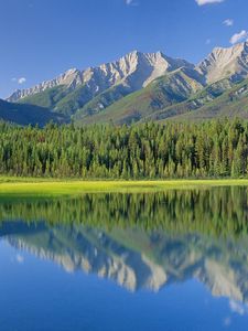 Превью обои национальный парк, канада, британская колумбия, озеро, горы, деревья, dog lake