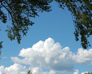 Превью обои небо, облачно, дерево, пейзаж