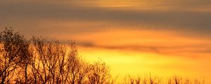 Превью обои небо, рассвет, деревья, ветки, природа